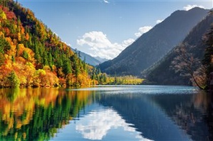怎么看五行缺什么颜色,五行缺木的人适合什么颜色
