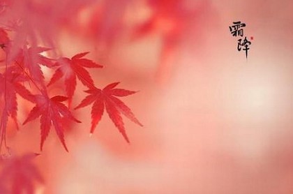 常春藤风水摆放三不要,家里最旺财的十种花