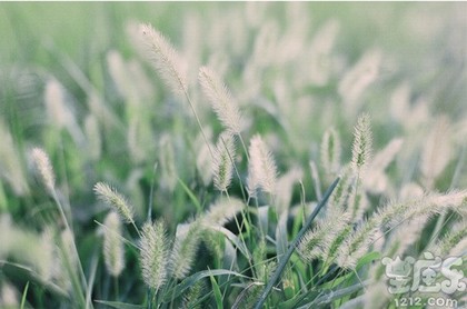 6月份理发吉日一览表,今日理发是吉日吗