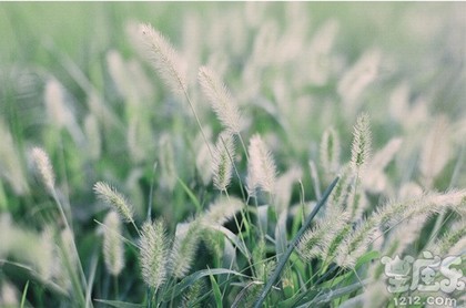 6月份理发吉日一览表,今日理发是吉日吗