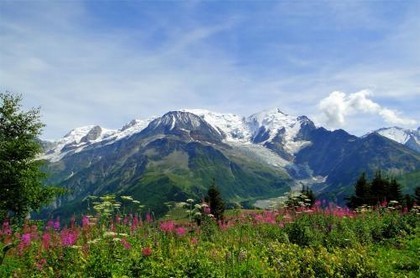 中国天蝎座企业家,世界前1000名富豪星座占比