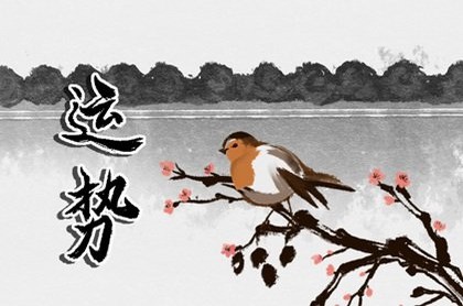 求观音灵签,算命免费测八字