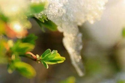 62年属虎2023年财运下半年,62年属虎男2023年运势