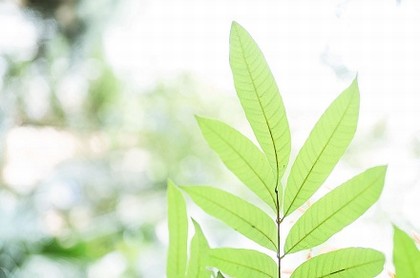 天秤运势今日,天秤本周运势今日运势