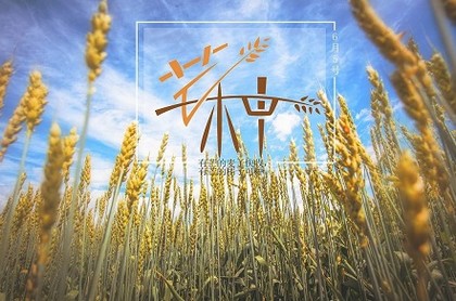 da8da奇门排盘app哪个好用,奇门遁甲手机排盘免费