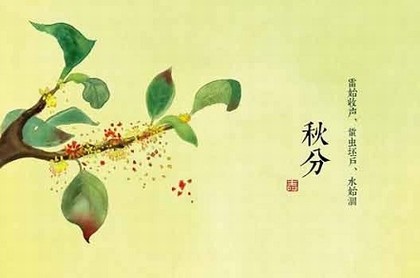 天蝎座的最佳配偶是什么星座,天蝎座的婚配星座
