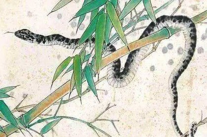 网上求签问卜,求签问卜是什么意思