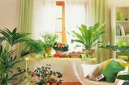 2023年10月17日是什么星座,10月17号是什么星座的性格