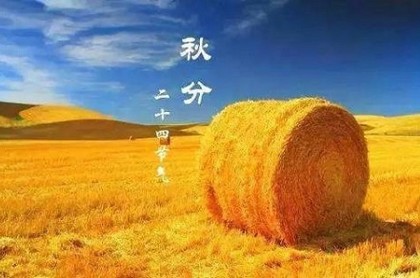 塔罗会成员最终实力,塔罗牌最凶的一张牌