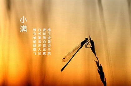 五行属火缺金的公司名字,五行缺金八字喜火怎样起名