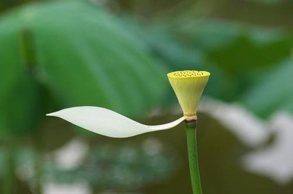 哪个星座最克白羊座,白羊座最怕的3个星座