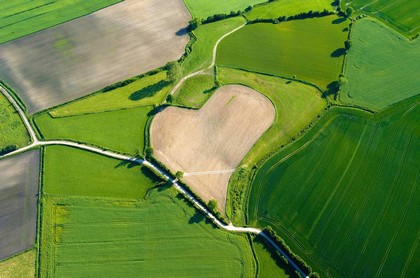 属马跟属鼠合婚不,属马和属鼠谁克谁严重