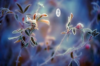 11月13日上升星座查询,11月23日上升星座查询表
