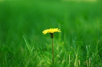 本命年一般是桃花劫吗,八字死桃花和活桃花