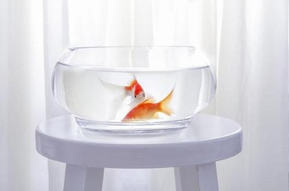 免费测试婚姻能不能白头到老,免费测一生有几次婚姻