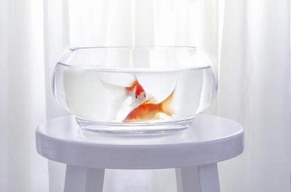免费测试婚姻能不能白头到老,免费测一生有几次婚姻