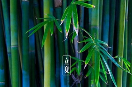 汽车牌照吉凶,在线八字网车牌