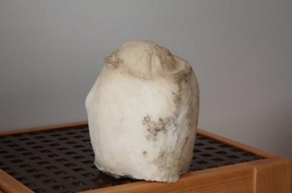 星座周运势最新一周处女,十二星座今日运势查询