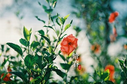 巨蟹座适合当领导吗,巨蟹座隐藏的实力有多深