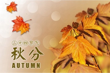 属龙运势查询,属龙2023年运势及运程