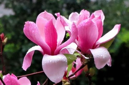 测两人有没有夫妻缘分字合婚行吗,八字注定是夫妻缘