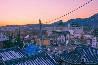 八字土木旺,八字木旺的人要注意什么