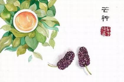 狮子狗小狗,杂交狮子狗多少钱一只