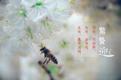 水瓶对双子很贴心,水瓶和双子