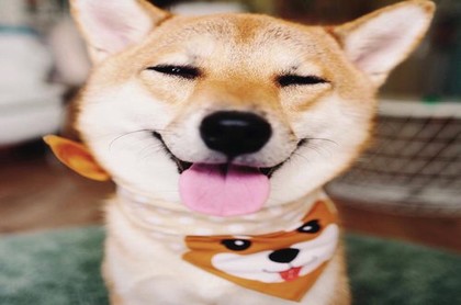 金牛座幸运日期,5月9日是什么星座