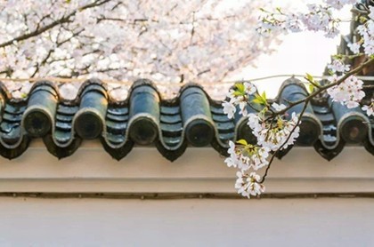 生肖12年一个轮回叫什么,本命年12年一个轮回