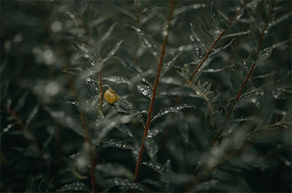 新手塔罗牌洗牌切牌,塔罗牌切牌需要拿出来吗