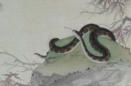 水瓶座男人,中年水瓶座男人的心