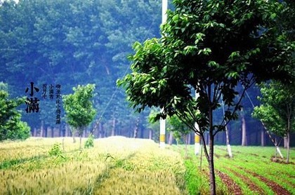 犯太岁符怎么画,查鼠年冲太岁符怎么画