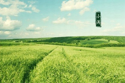 水瓶座最近感情运势,2023年水瓶座每月的爱情运势