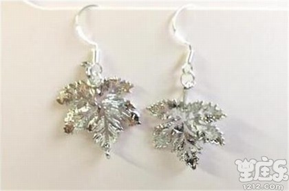 12星座代表的龙是什么,12星座的守护神兽