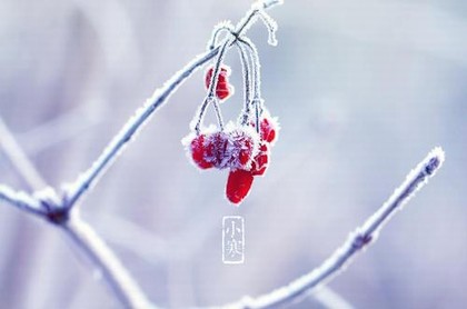 八字上面藏干下面十神,八字地支藏干十神详解