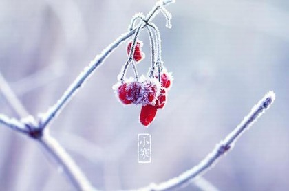 八字上面藏干下面十神,八字地支藏干十神详解
