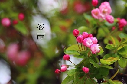心理健康测查表分数怎么看,免费心理测试网站