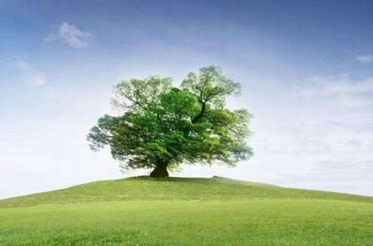 算命几斤几两对照表2023,女版称骨算命对照表