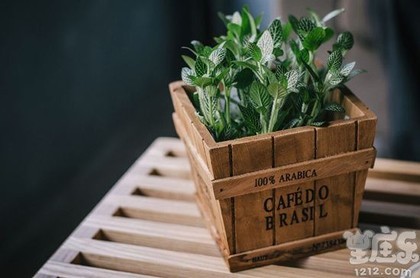 星座香水,十二星座的真正性格