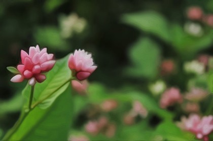 汉字取名的含义是什么,汉字取名寓意