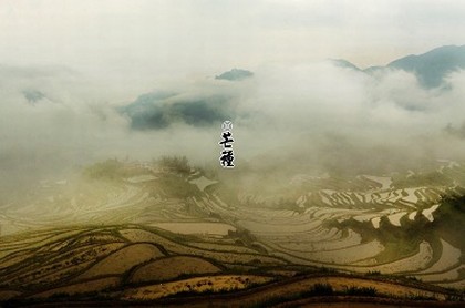 五行缺土宜用字,女孩五行缺土取什么字