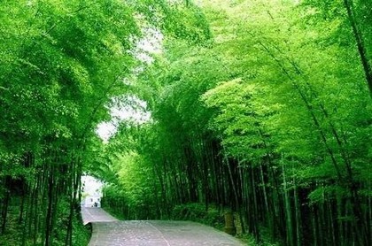 81位吉凶数是什么,81数理财运最好的数理