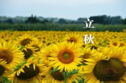 算一下我今年的运气怎么样,看看我今年的运气