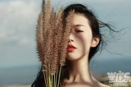 十二生肖的运势大全,十二生肖的命运和运势