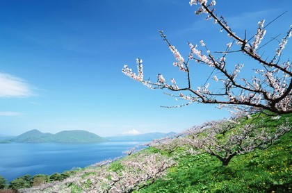 号码吉凶查询吉利数字,28数字吉凶