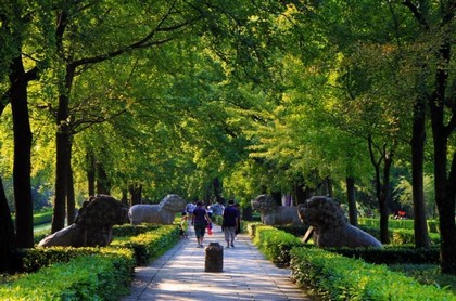 双鱼戏荷花矢量图,11月适合安床的黄道吉日