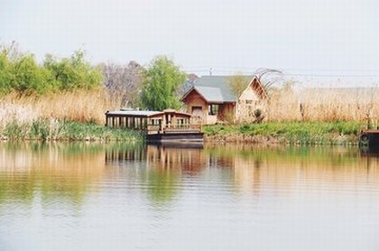 观音五十九签解签事业,观音灵签59签求姻缘