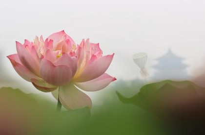 摩羯座不主动发消息,摩羯不主动找你但理你
