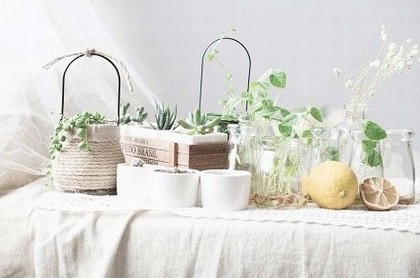 金牛座的特长和缺点,金牛座的特点是什么